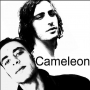 Groupe cameleon 
